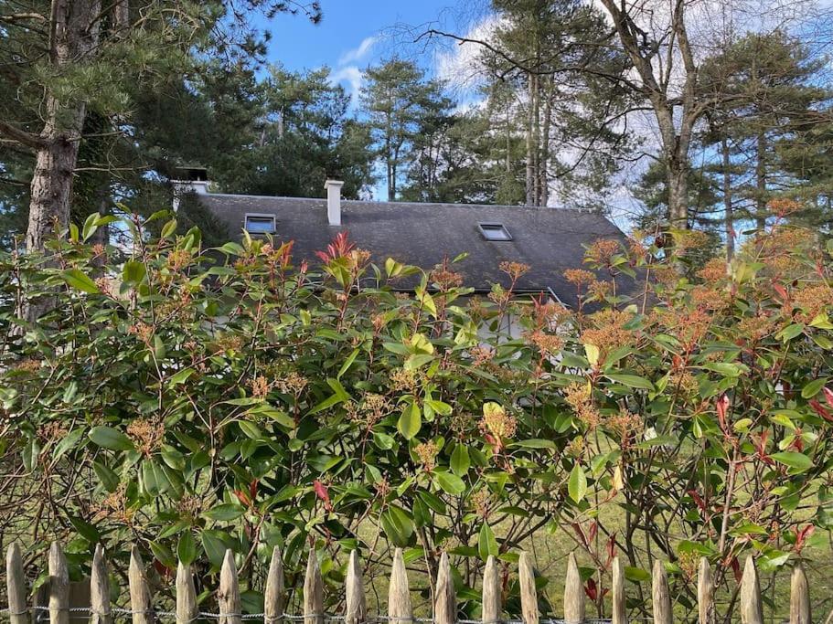 Le Rosa: Villa De Charme Entre Mer Et Pinede カン エクステリア 写真